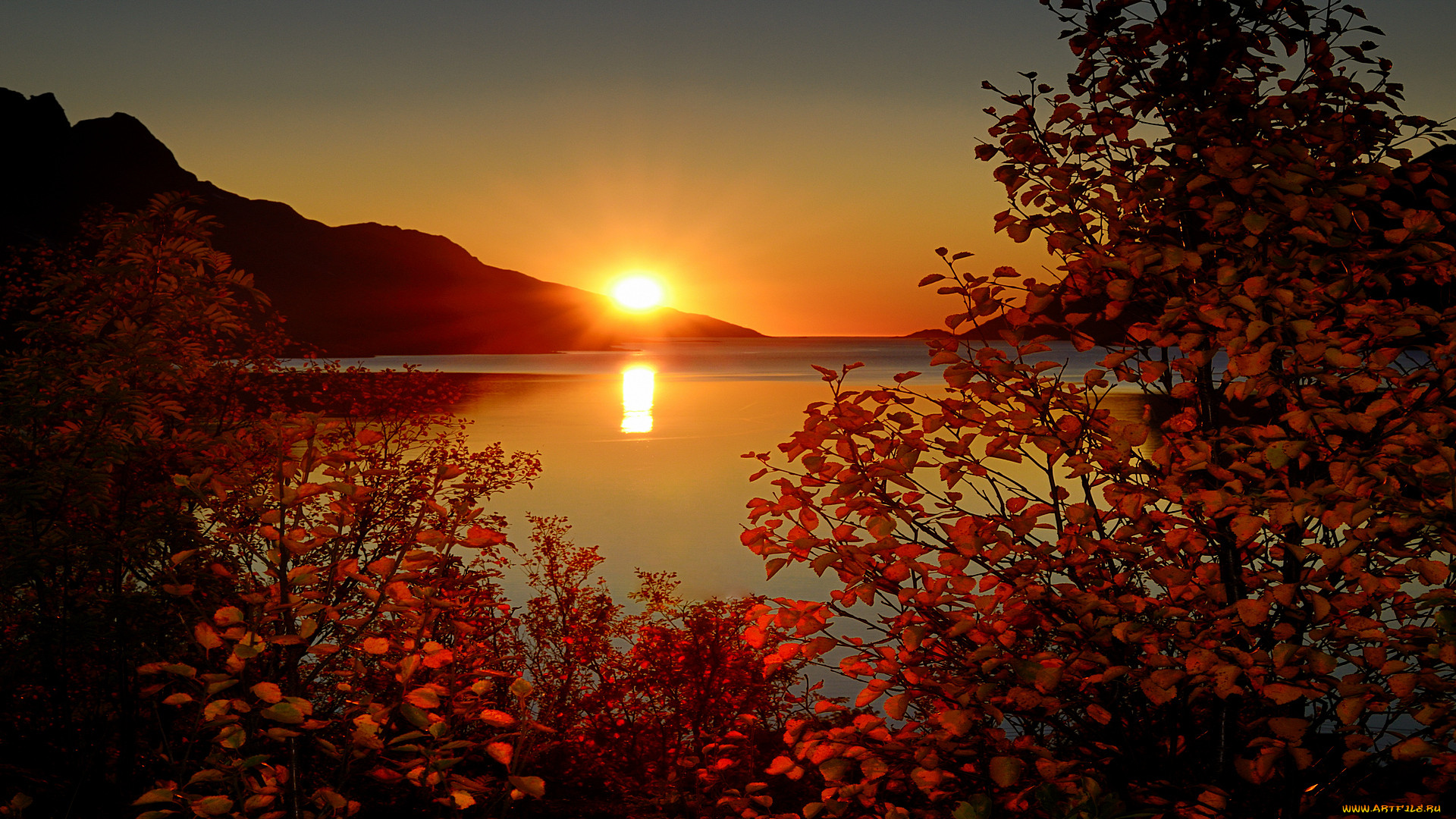 between, the, beauty, , , , , 